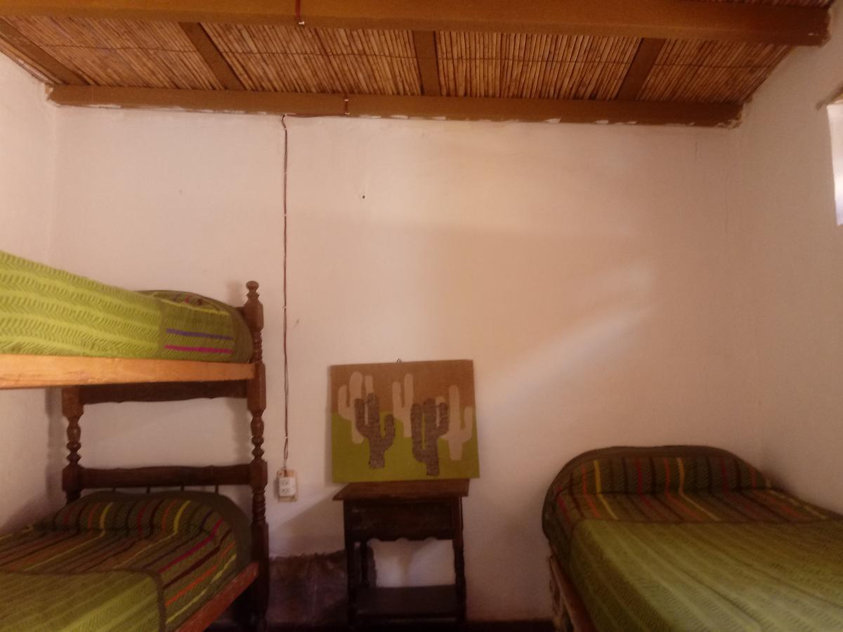 Andino Hostel ตีลการา ภายนอก รูปภาพ